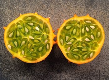 kiwano melon