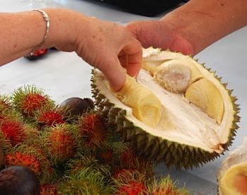 el durian fruta