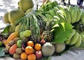 frutos exoticos tropicales