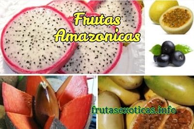 frutas exoticas del amazonas