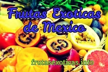 las frutas exoticas de mexico