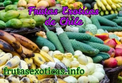 frutas exoticas en chile