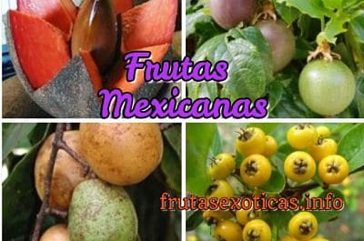 frutas tropicales mexicanas