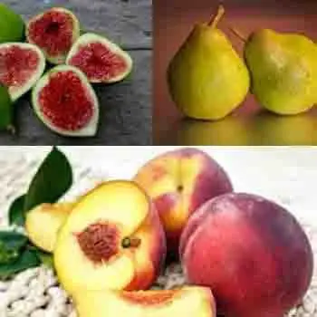 Frutas para quitar la acidez estomacal