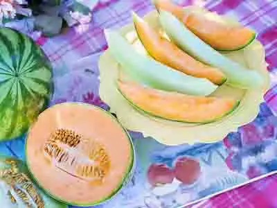 caracteristicas del melon tipos