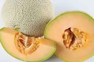 Melon propiedades nutricionales
