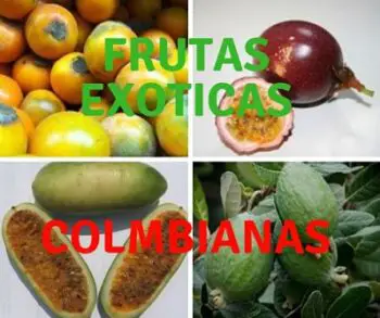mejores frutas colombianas