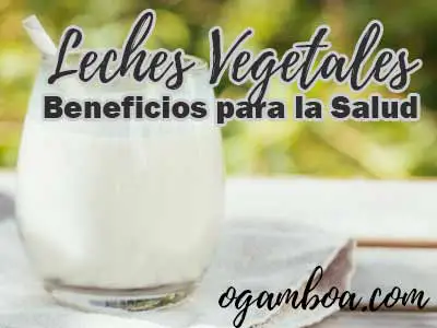 tipos leches vegetales caseras