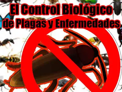 control biologico de plagas y enfermedades