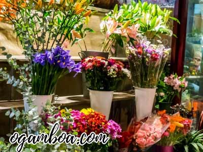 las mejores florerias de Querétaro con servicio a domicilio