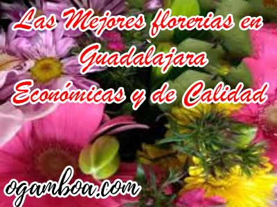 mejores florerias en guadalajara jalisco servicio a domicilio