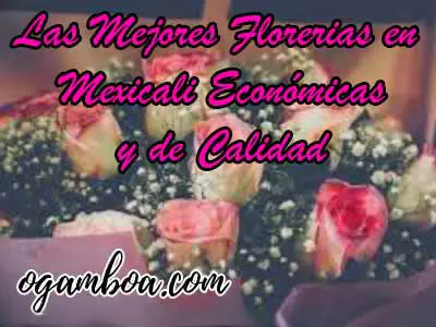 arreglos florales en Mexicali