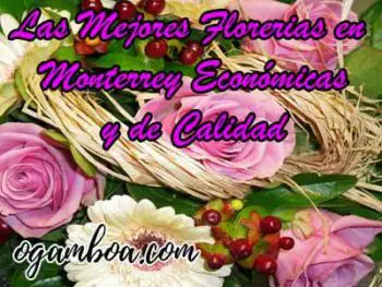 enviar flores en Monterrey