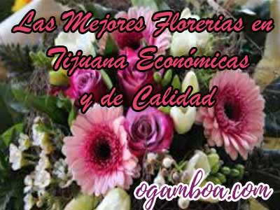 mejores florerias en tijuana a domicilio