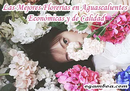arreglos florales en Aguascalientes