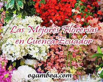 arreglos florales en Cuenca Ecuador