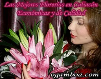 enviar flores en Culiacan economicas