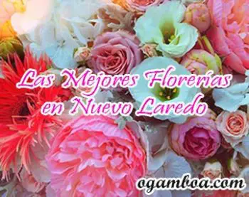 enviar flores en Nuevo Laredo tamaulipas