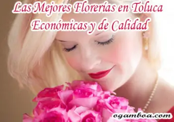 arreglos florales en Toluca