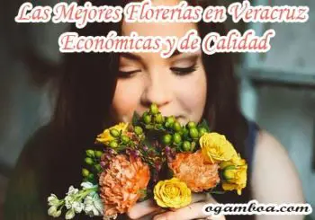 florerias en Veracruz con servicio a domicilio