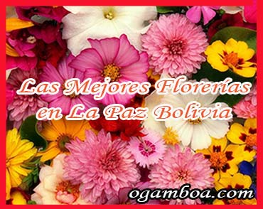 enviar flores en La Paz Bolivia