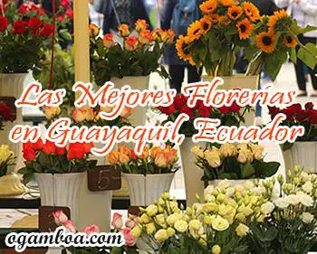 florerias en guayaquil a domicilio