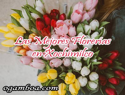 florerias en delegacion xochimilco