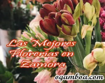 envia flores en zamora michoacan
