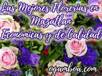 mejores florerias en mazatlan sinaloa mexico