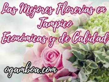 mejores florerias en tampico tamaulipas