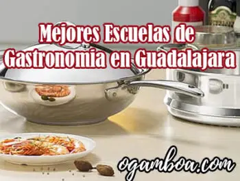 donde estudiar gastronomia en Guadalajara