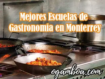 mejores escuelas de gastronomia en Monterrey