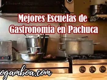 estudiar cocina en Pachuca