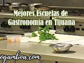 carrera de gastronomia en Tijuana