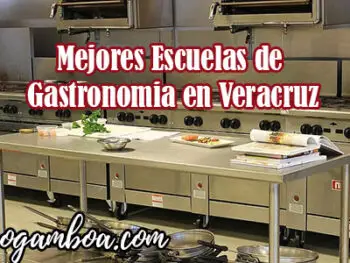 carrera de gastronomia en Veracruz