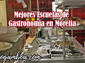 carrera de gastronomia en Morelia
