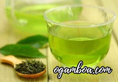 té verde para quemar grasa ingredientes del te verde para adelgazar