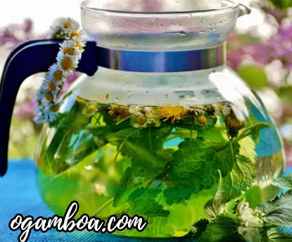 propiedades del te de hierbas medicinales
