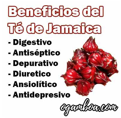 efectos secundarios del te de jamaica