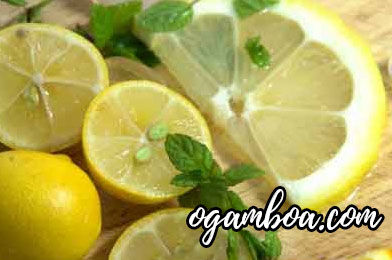 limon caracteristicas y propiedades para que sirve el te de limon