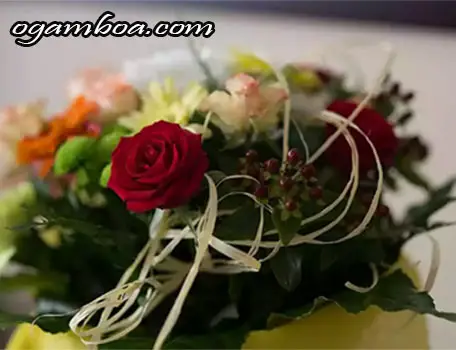 venta de flores en rosarito