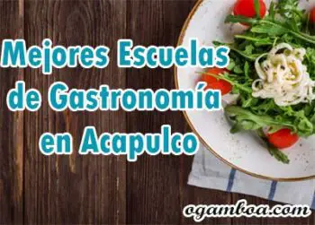 carreras de gastronomia en acapulco