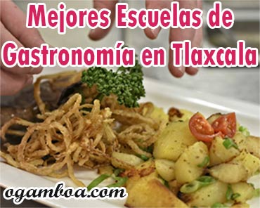 carrera de gastronomia en tlaxcala