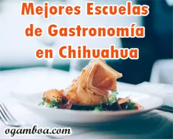 institutos de gastronomia en chihuahua