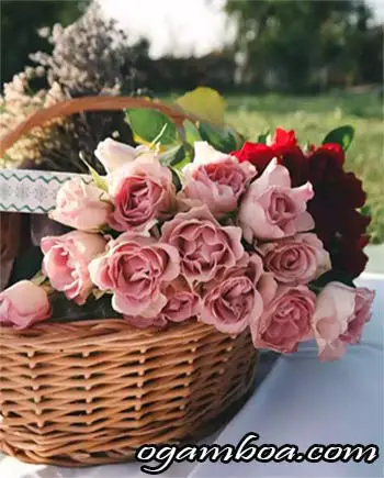 florerias economicas en rosarito