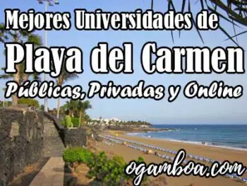 mejores universidades en Playa del Carmen