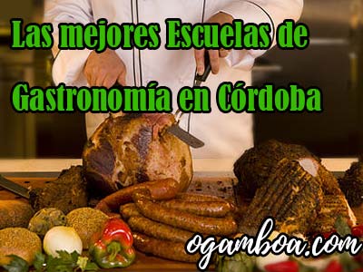 mejores escuelas de gastronomia en Córdoba argentina